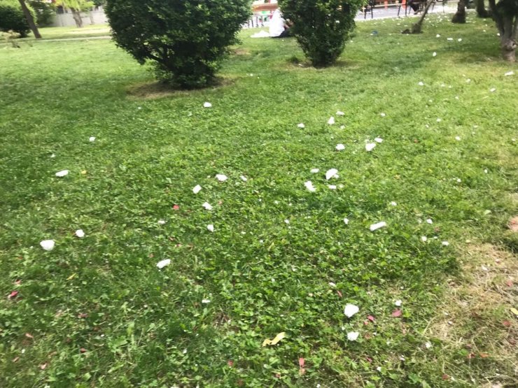 Aynı park aynı görüntüler