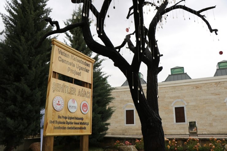 Kırşehir’de Şehitler Ağacı açıldı