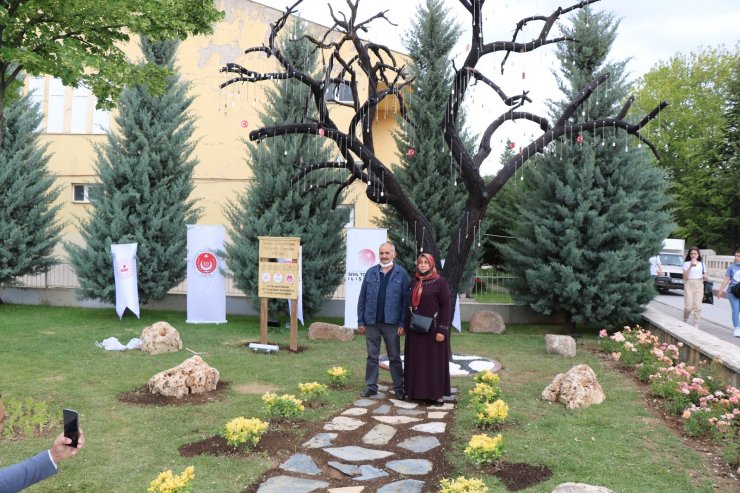 Kırşehir’de Şehitler Ağacı açıldı