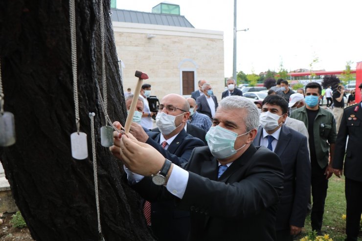 Kırşehir’de Şehitler Ağacı açıldı