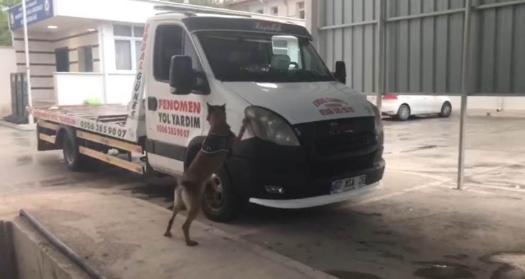 Kadir Şeker’in kurtarmaya çalıştığı Ayşe Dırla’dan sonra kız kardeşi de eroinle yakalandı