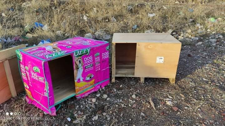 Bozuk para kasaları sokaktaki canlara yuva olmaya devam ediyor