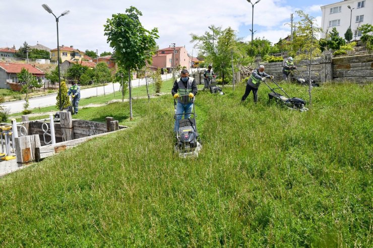 Tepebaşı parklarında çim biçme çalışması sürüyor