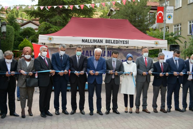 Nallıhan doğalgaza kavuşuyor