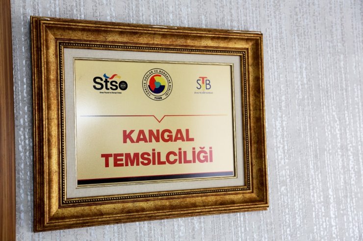 STSO ile STB Kangal’da temsilcilik açtı