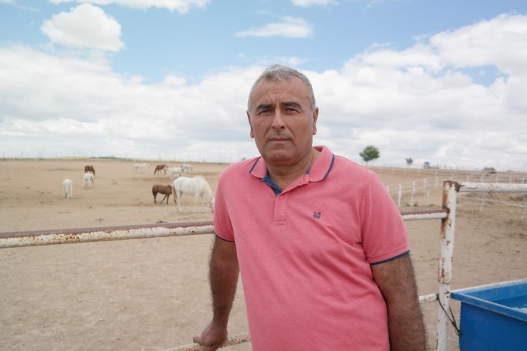 Mahmudiyeli yetiştiriciler hipodrom ve at hastanesi istiyor