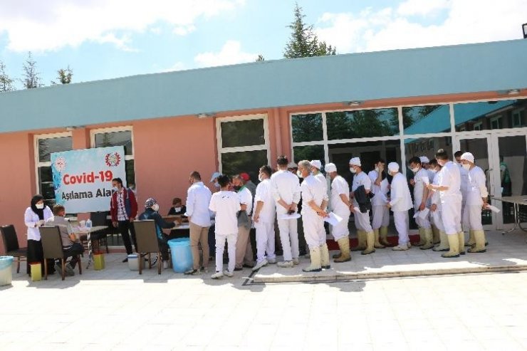 Kayseri ve Niğde’de organize sanayi bölgelerinde aşılama tüm hızıyla sürüyor