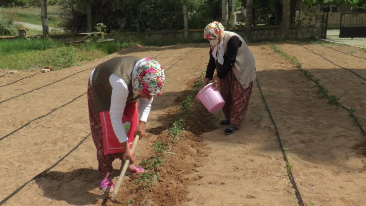 Çiftçi kadınlar yeni projeleri ile pandemide de üretmeye devam ediyor