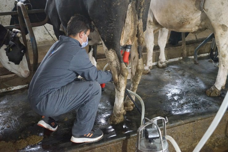 Öğrenciler, çiğ süte katma değer kazandırarak reçel haline getirdi