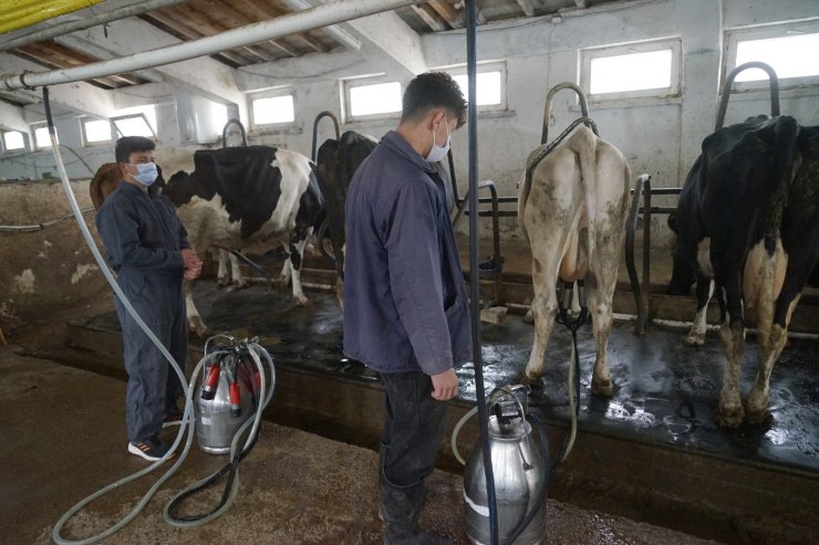 Öğrenciler, çiğ süte katma değer kazandırarak reçel haline getirdi