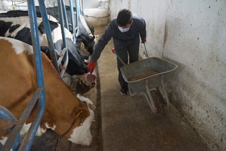 Öğrenciler, çiğ süte katma değer kazandırarak reçel haline getirdi