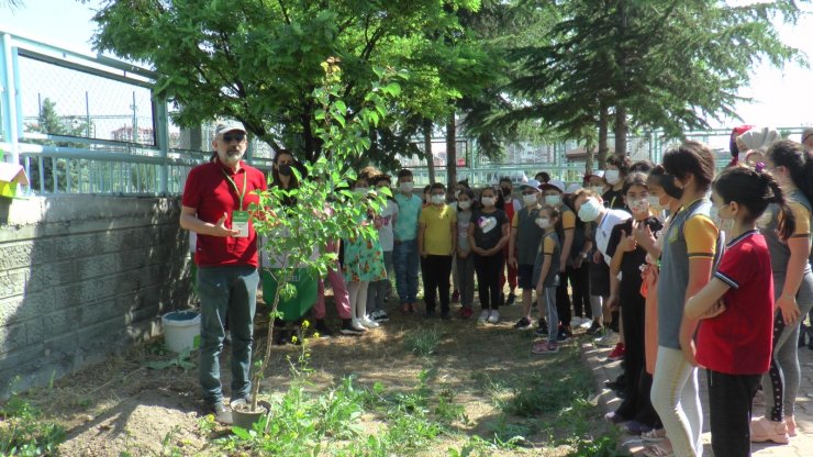 Okullarda ‘Cıvıl Cıvıl’ etkinliklerle 2 Temmuz’a kadar sürecek faaliyetler başladı