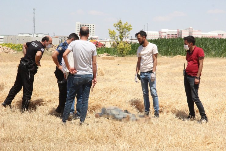 Cesedi tarlada bulunan işçinin traktörü çalışır vaziyette taşa takıldı