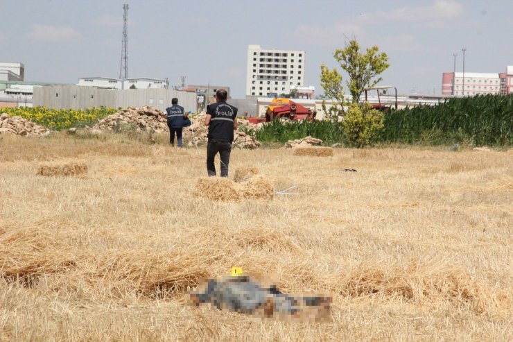 Cesedi tarlada bulunan işçinin traktörü çalışır vaziyette taşa takıldı
