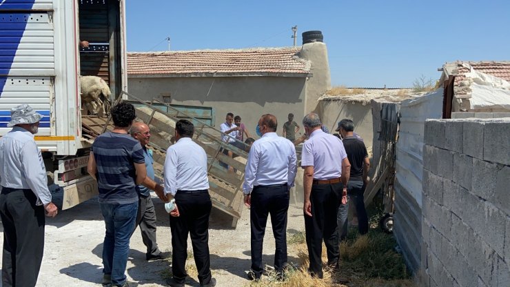 Aksaray’dan yangın mağdurlarına canlı hayvan yardımı
