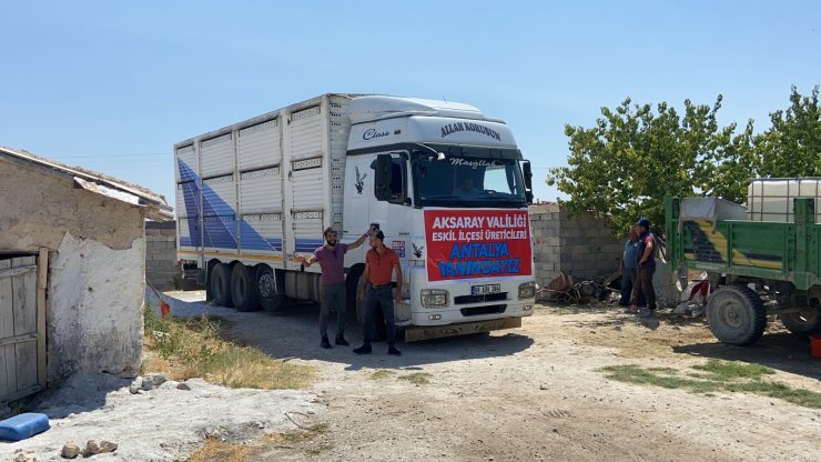 Aksaray’dan yangın mağdurlarına canlı hayvan yardımı