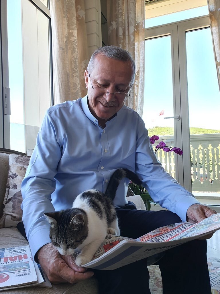 Cumhurbaşkanı Erdoğan Torunu  Canan Aybike'nin Kedisiyle Olan Fotoğrafını Paylaştı