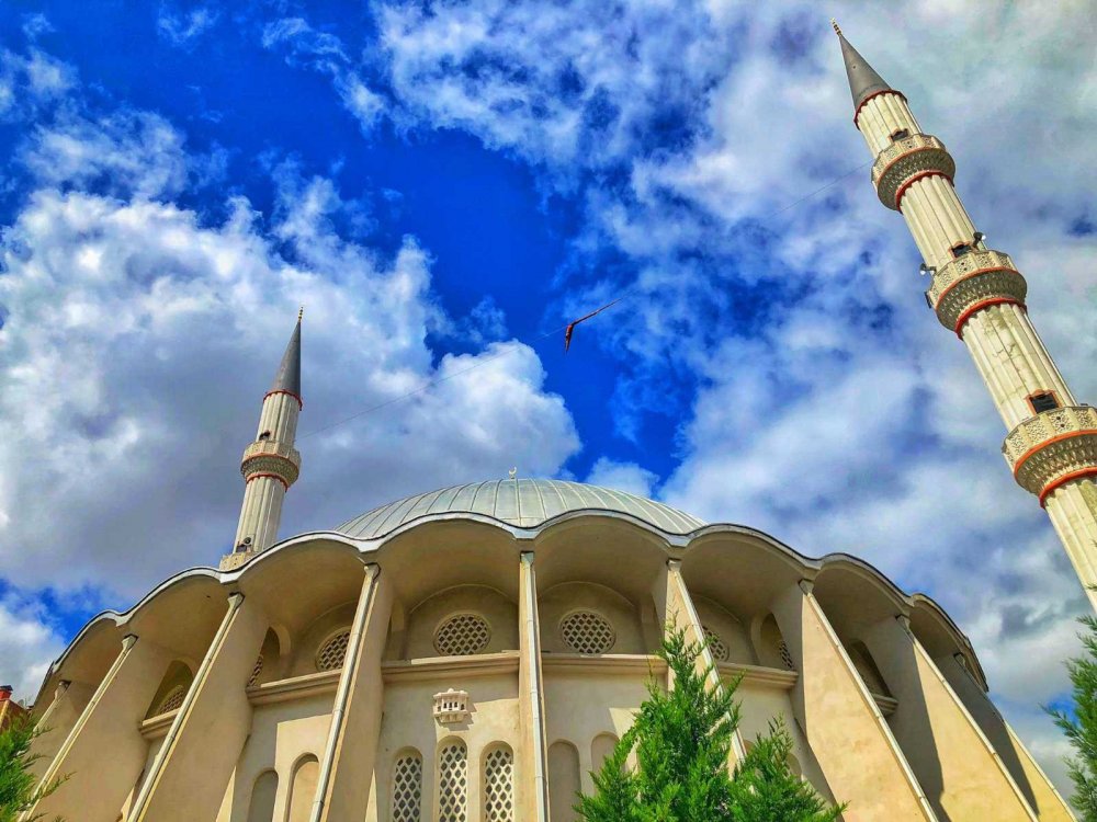 Konya Büyükşehir Belediyesi camilere kuş evleri yerleştirdi