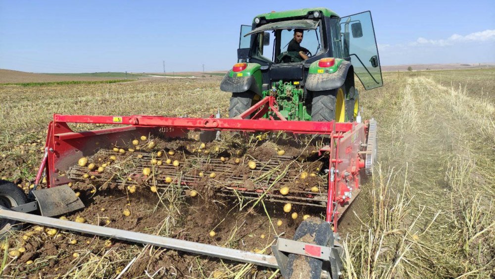 Bu sene patateste 5 Milyon Ton rekolte bekleniyor