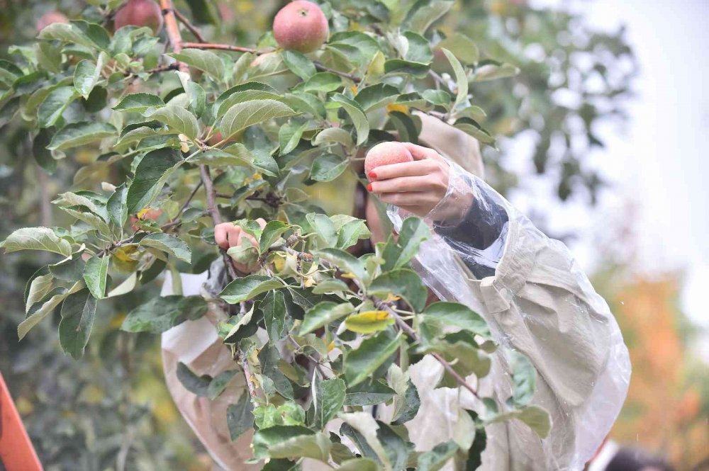 İyilik Bulaşıcıdır! Geçici Olarak Yurtlarda Kalan Öğrencilere İyilik Hasadı