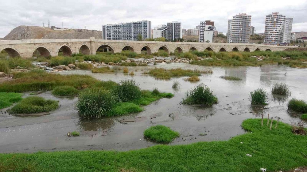 Daha Konya Ovası'na Su Getirecektik! Kızılırmak Otlağa Dönüştü