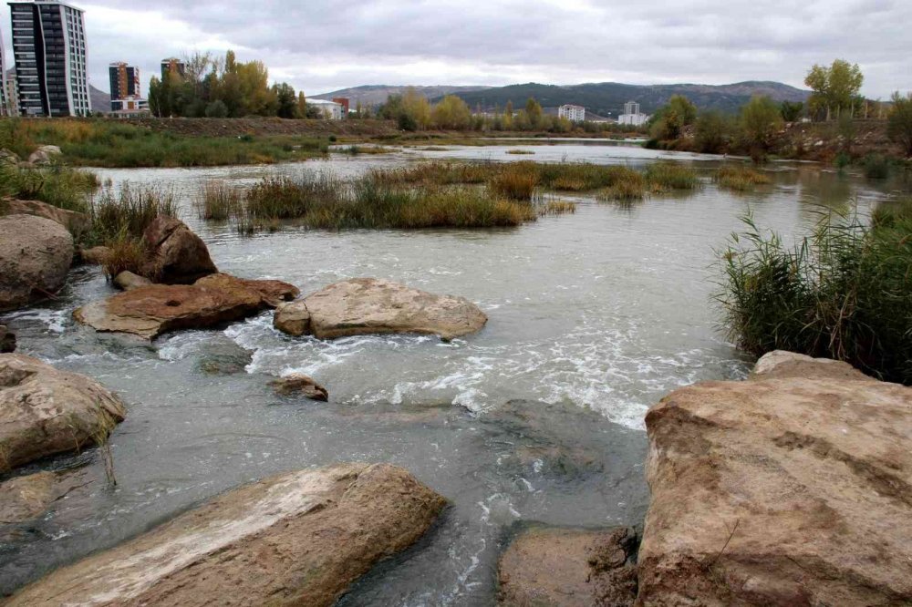 Daha Konya Ovası'na Su Getirecektik! Kızılırmak Otlağa Dönüştü