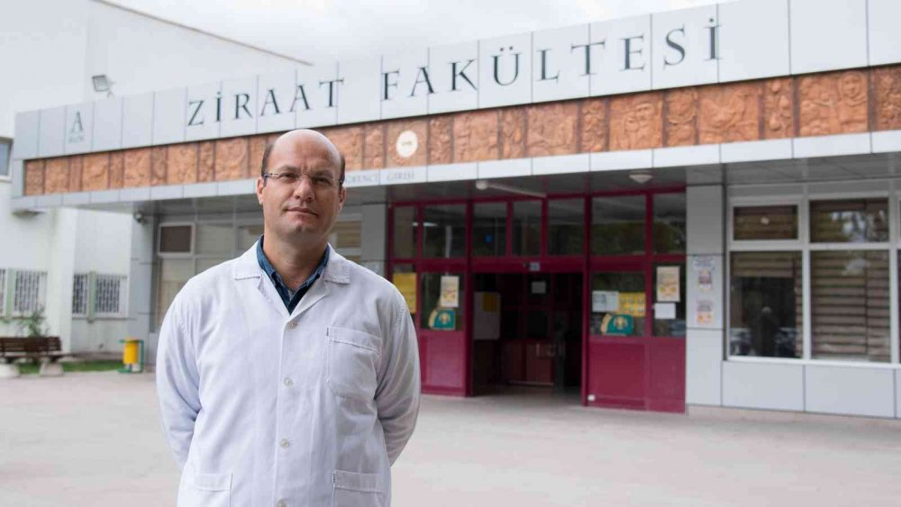 Konya Selçuk Üniversitesi yerli pancar ve ayçiçeği hibrit tohumu geliştirdi