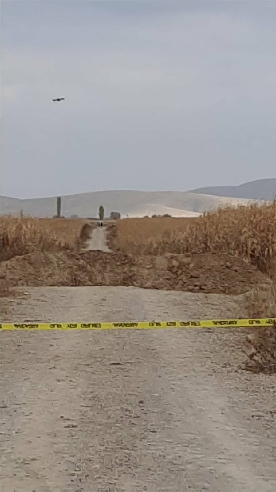 İlk Kez Görüldü! Tarla Yolunda Oluşan Yarıklar Korkuttu