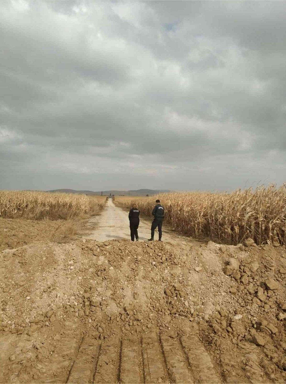 İlk Kez Görüldü! Tarla Yolunda Oluşan Yarıklar Korkuttu