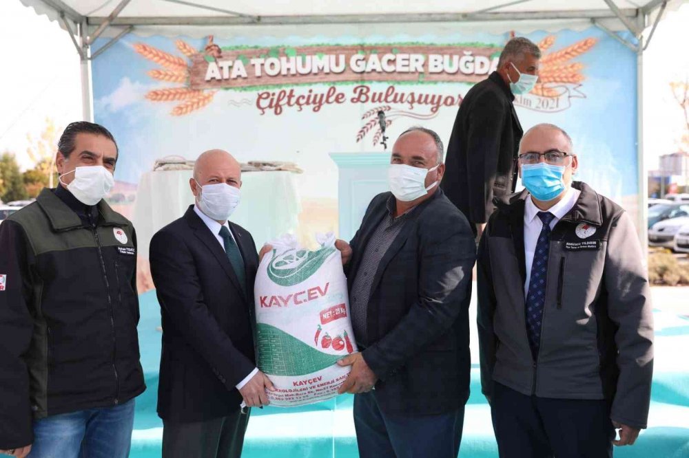 Kocasinan Belediyesi, Çiftçilere Gacer Buğdayı Dağıttı