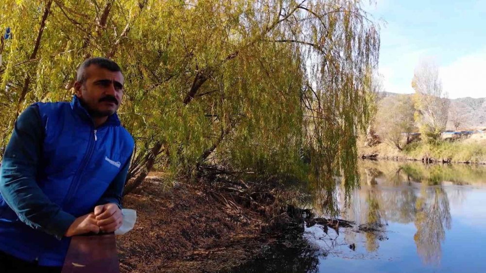 Kızılırmak'ın Çevresindeki Ağaçlar Görsel Şölen Oluşturuyor