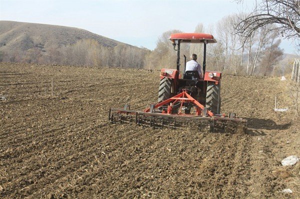 Yerli buğday çeşitlerinin tohumları toprakla buluştu