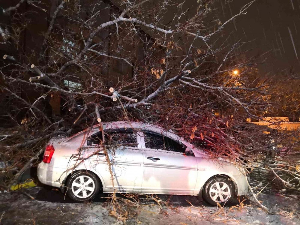Aksaray’da etkili olan kar ağaçları devirdi