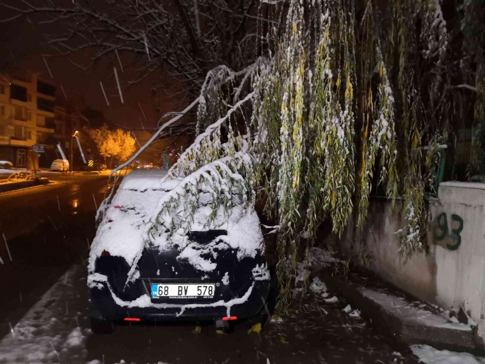 Aksaray’da etkili olan kar ağaçları devirdi