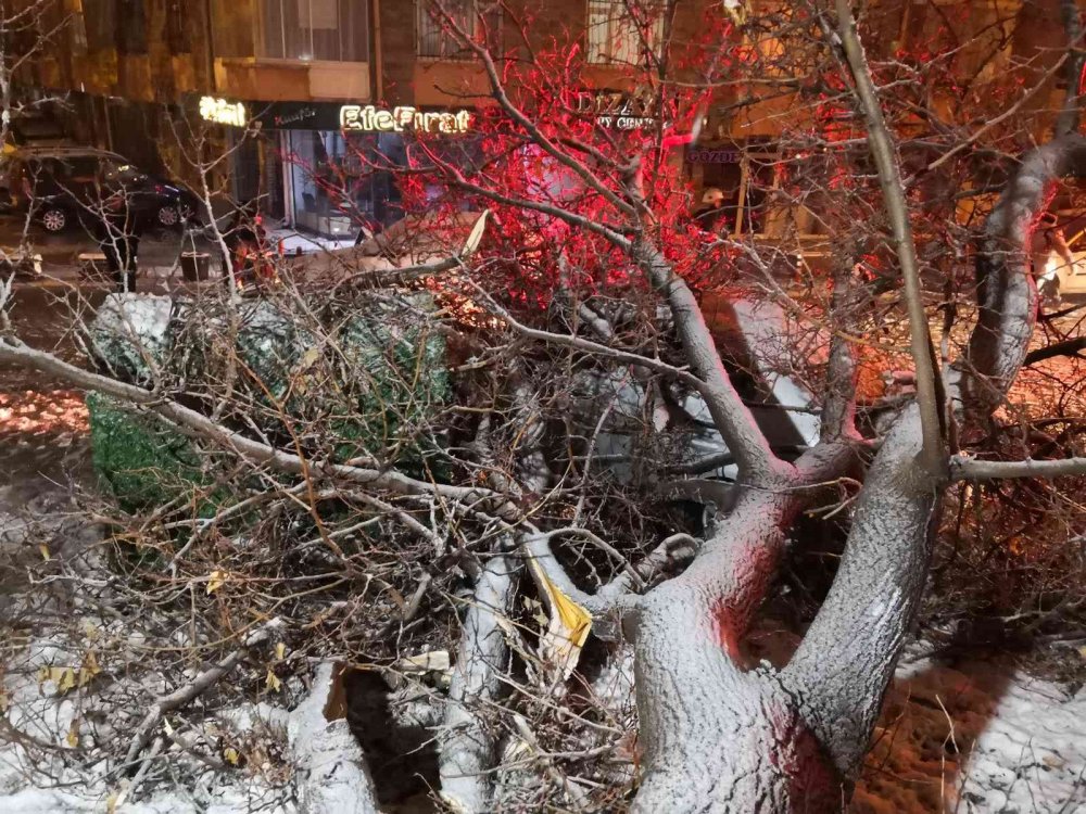 Aksaray’da etkili olan kar ağaçları devirdi