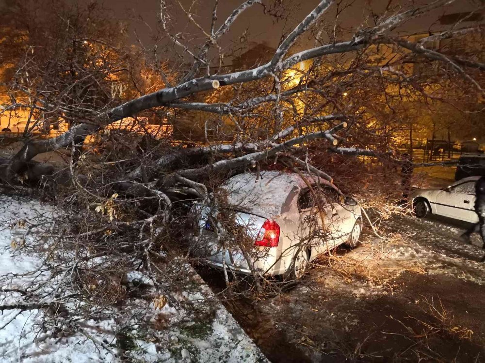 Aksaray’da etkili olan kar ağaçları devirdi