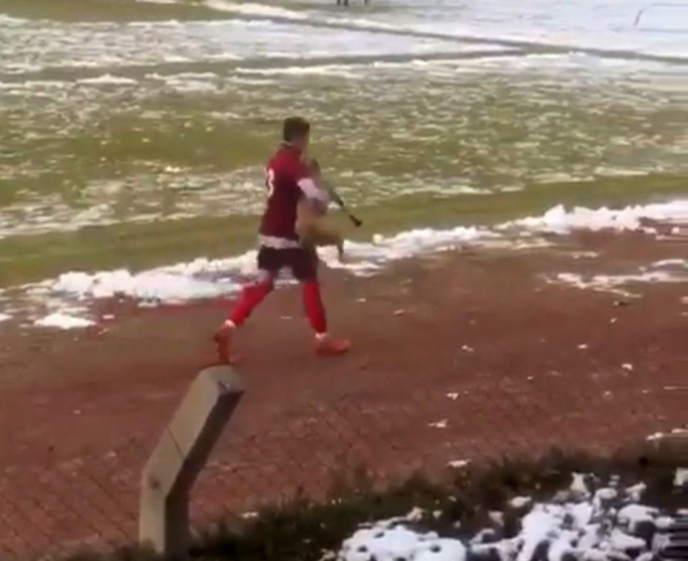 Maçı durduran köpeği futbolcu kucağına alarak sahadan çıkardı