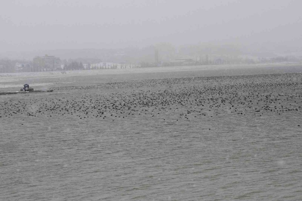 Kar yağışı  Beyşehir Gölü’nde yaşamı olumsuz etkiliyor