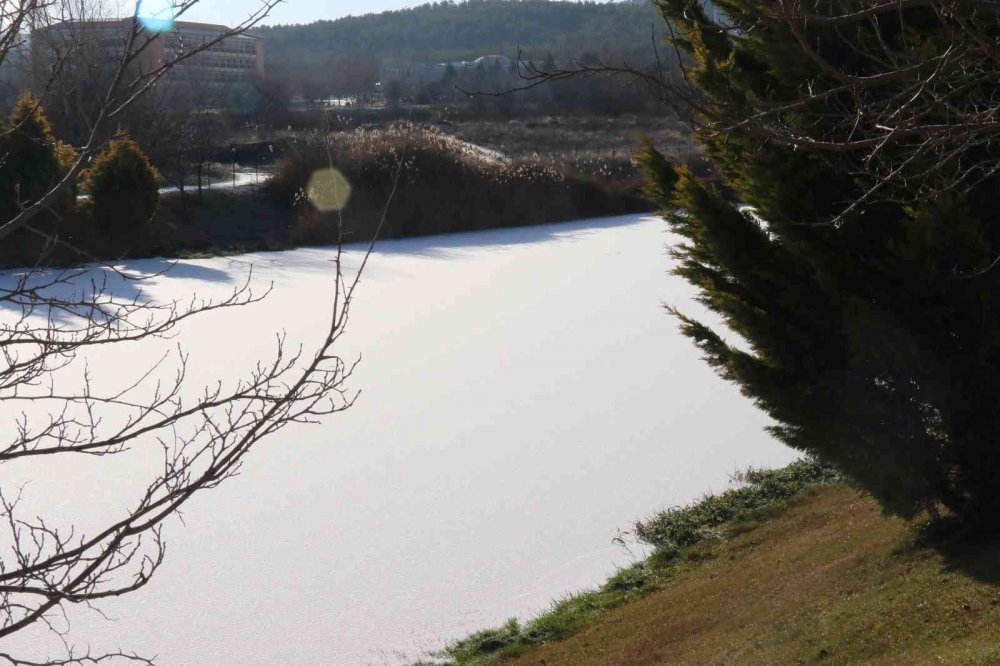 Buz tutan Porsuk Çayı’nda kartpostallık görüntüler