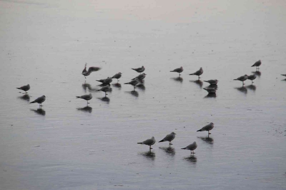 Beyşehir Gölü buz tuttu!