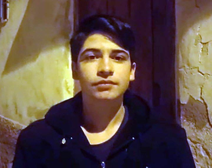 Köye inen 8 kurt köpeği parçaladı