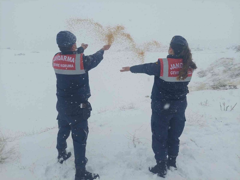 Hayvanlara yiyecek götüren Aksaray jandarması yürekleri ısıttı