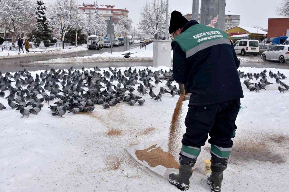 Karatay Belediyesi'nin 24 saat aralıksız kar mesaisi