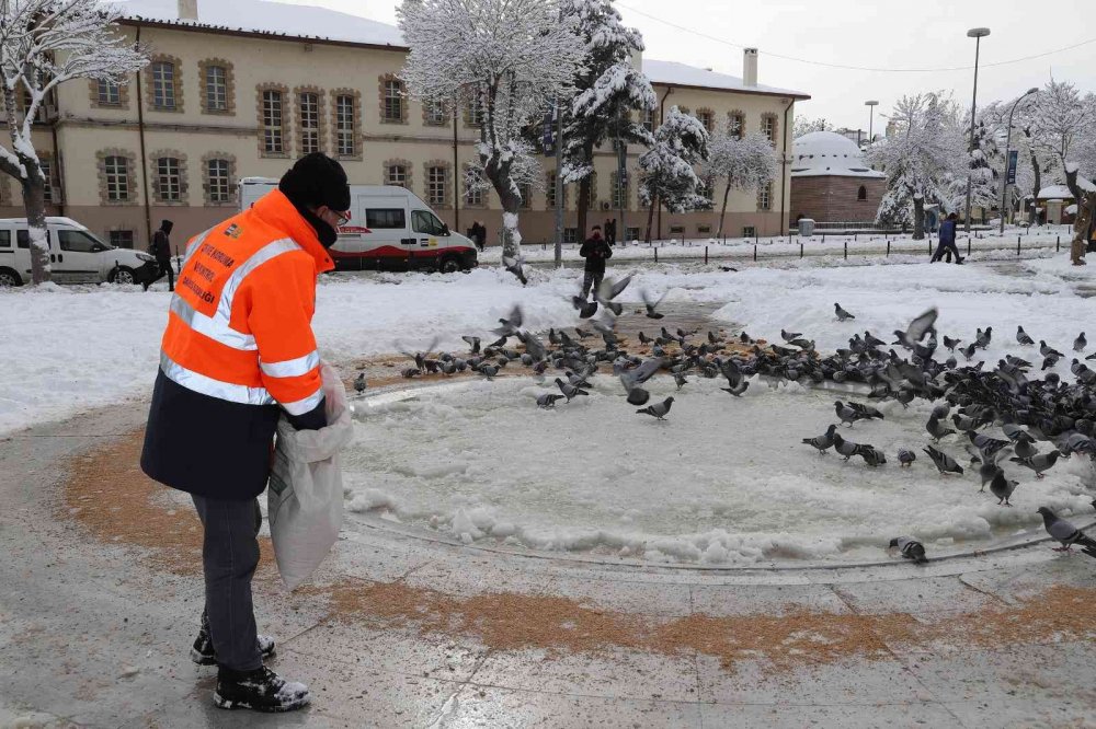 Konya Büyükşehir Belediyesi sahipsiz hayvanların yanında