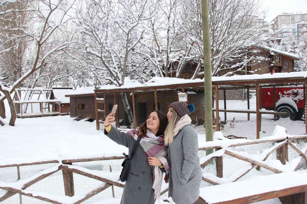 Hayvanlar karın keyfini çıkarttı