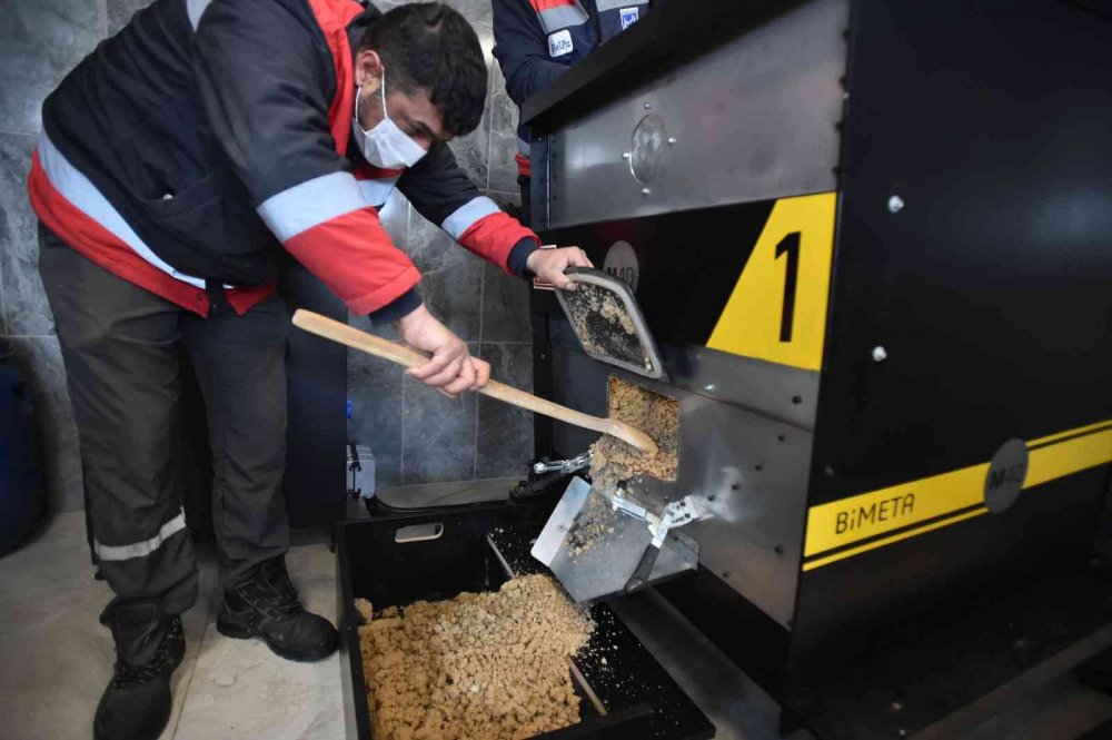 Ankara Büyükşehir Belediyesi sokak hayvanları için mama üretecek