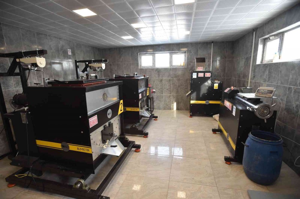 Ankara Büyükşehir Belediyesi sokak hayvanları için mama üretecek