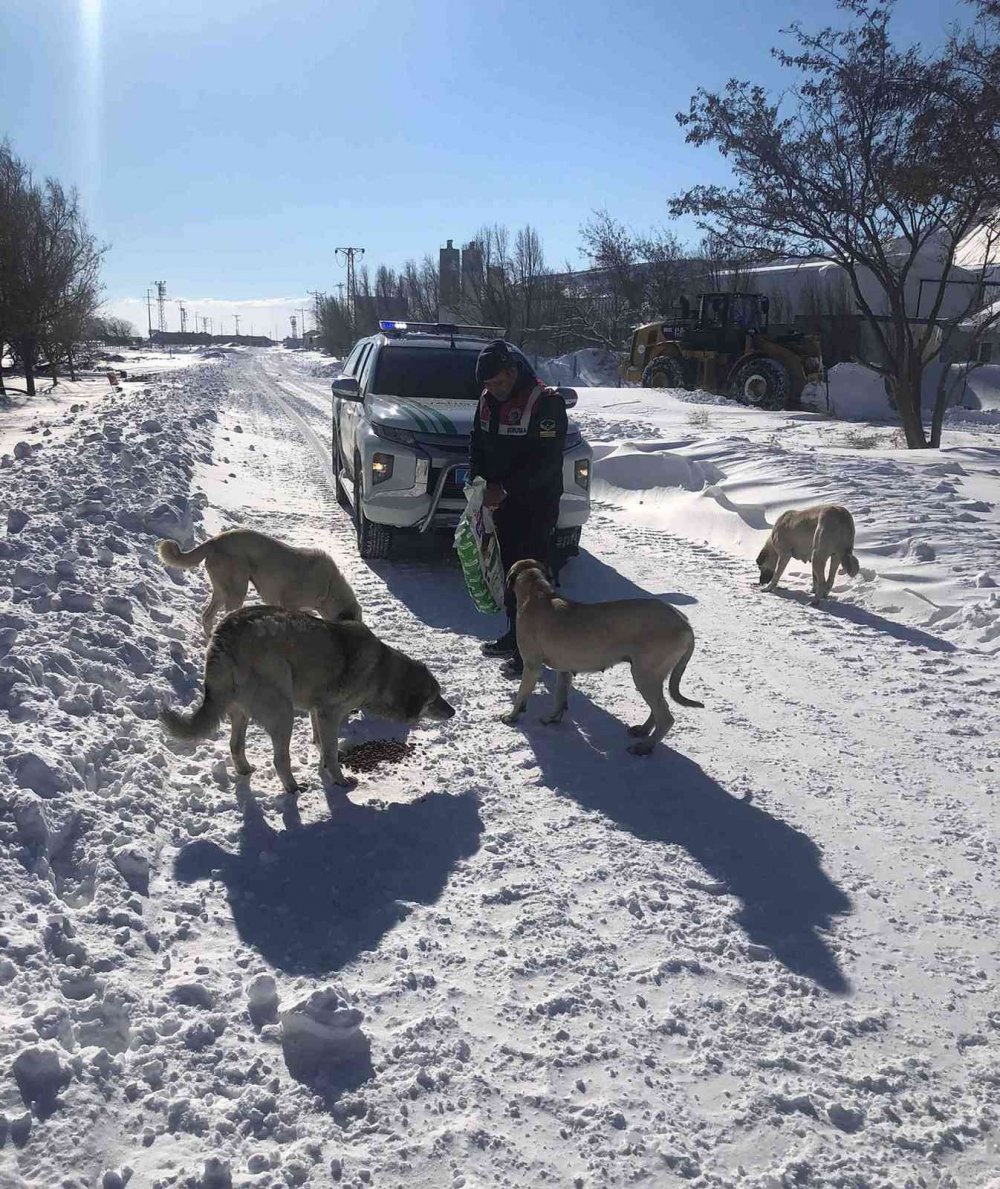 Konya’da karla mücadele sürüyor