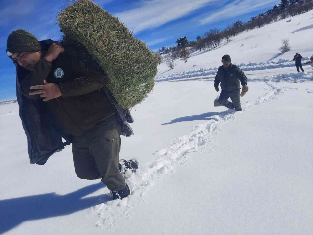 Konya’da yaban hayvanları için doğaya yem bırakıldı