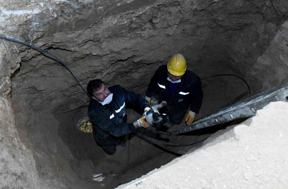 Konya'da kanalizasyon hattına giren yavru köpeğe kurtarma operasyonu